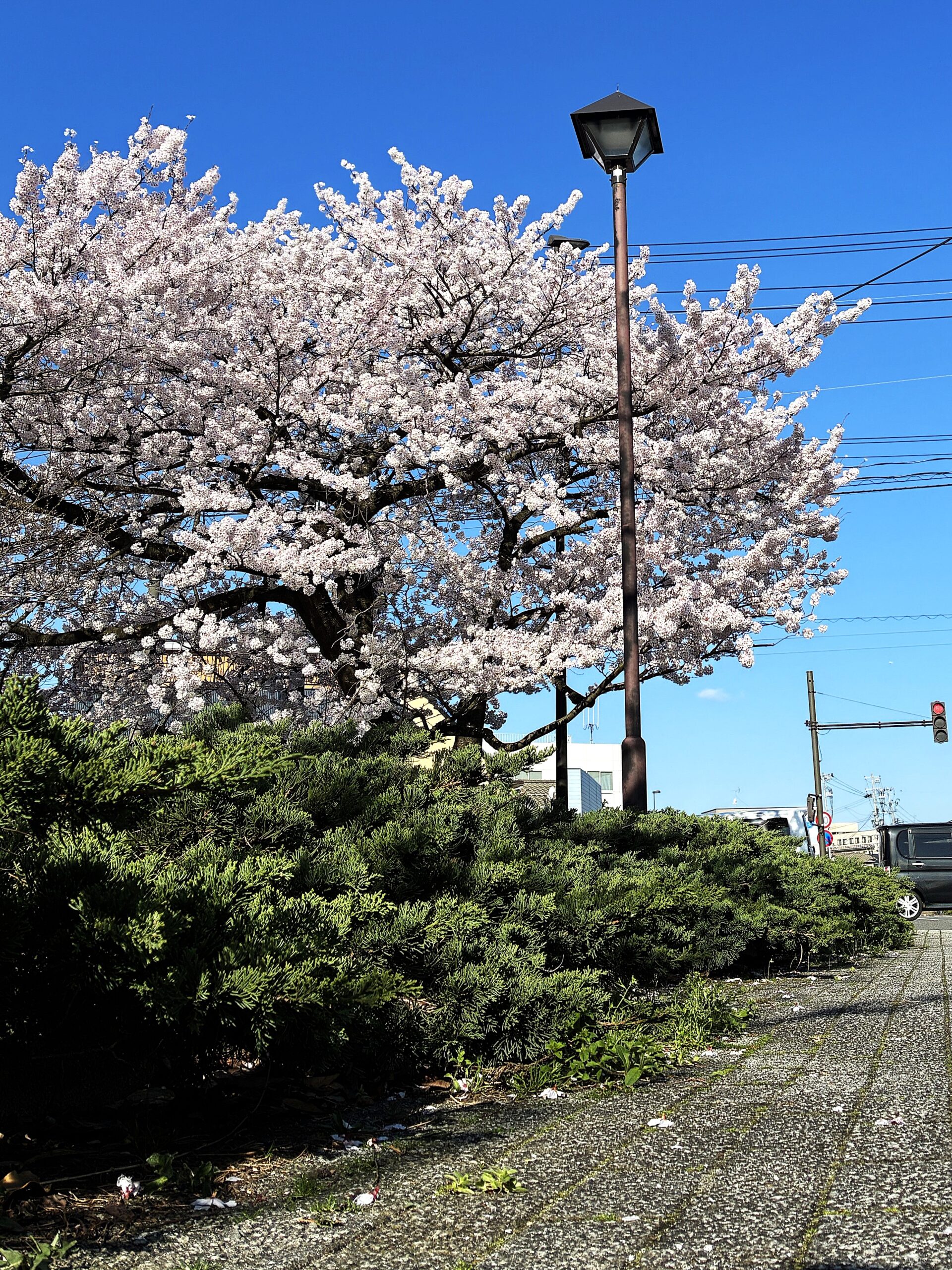 みなとぴあの風景